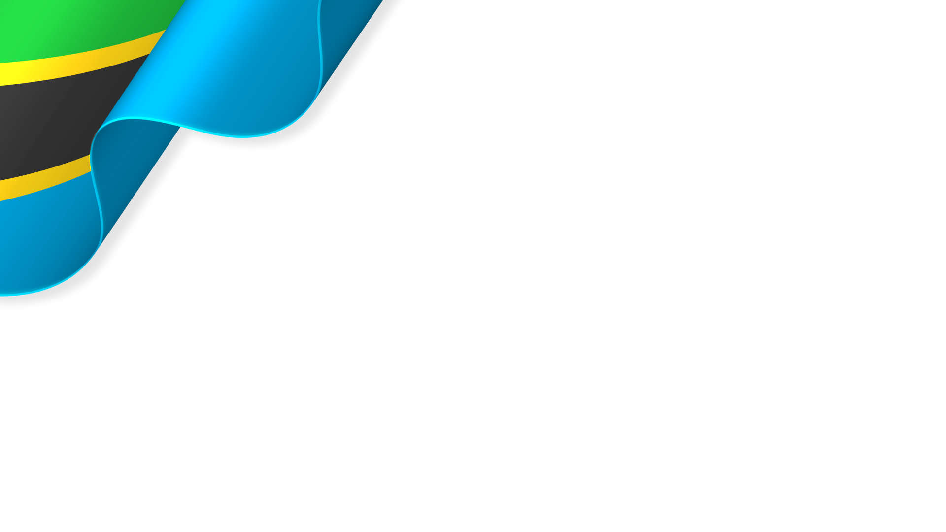 Tanzania Flag